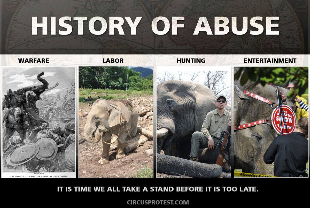 CWIntl's tweet photo. Elephants have been used and abused for ages. We need to end their exploitation now. https://t.co/hIVFPYTLZa