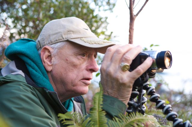 O'Barry Remains Focused on Taiji Dolphins bit.ly/1PEqH8o #DolphinProject