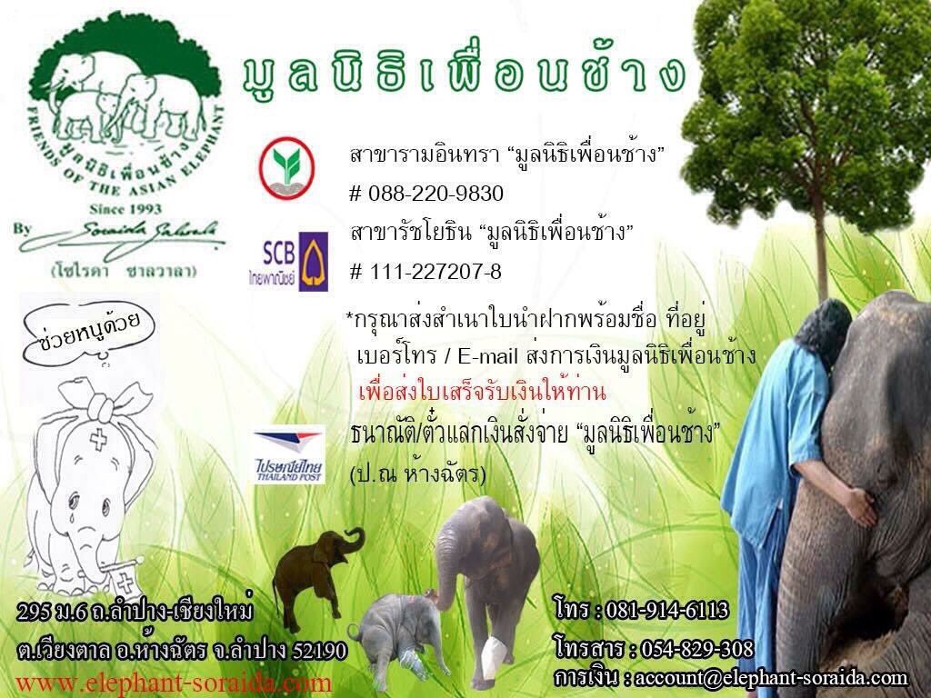 SiamArsa's tweet photo. ★ ชวนบริจาค "มูลนิธิเพื่อนช้าง" ★ ช่วยดูแล "ช้างไทย" ไม่ให้เป็น"ช้างเชือกสุดท้าย" ธ.กสิกร รามอินทรา # 088-2-20983-0 https://t.co/vAuzUe2W8V