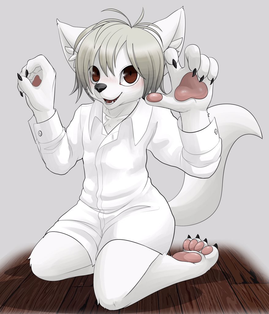 Misha_Foxclaw's tweet photo. #全日本うちの子可愛いんでファンになってください協会 https://t.co/kbWMqijSVt