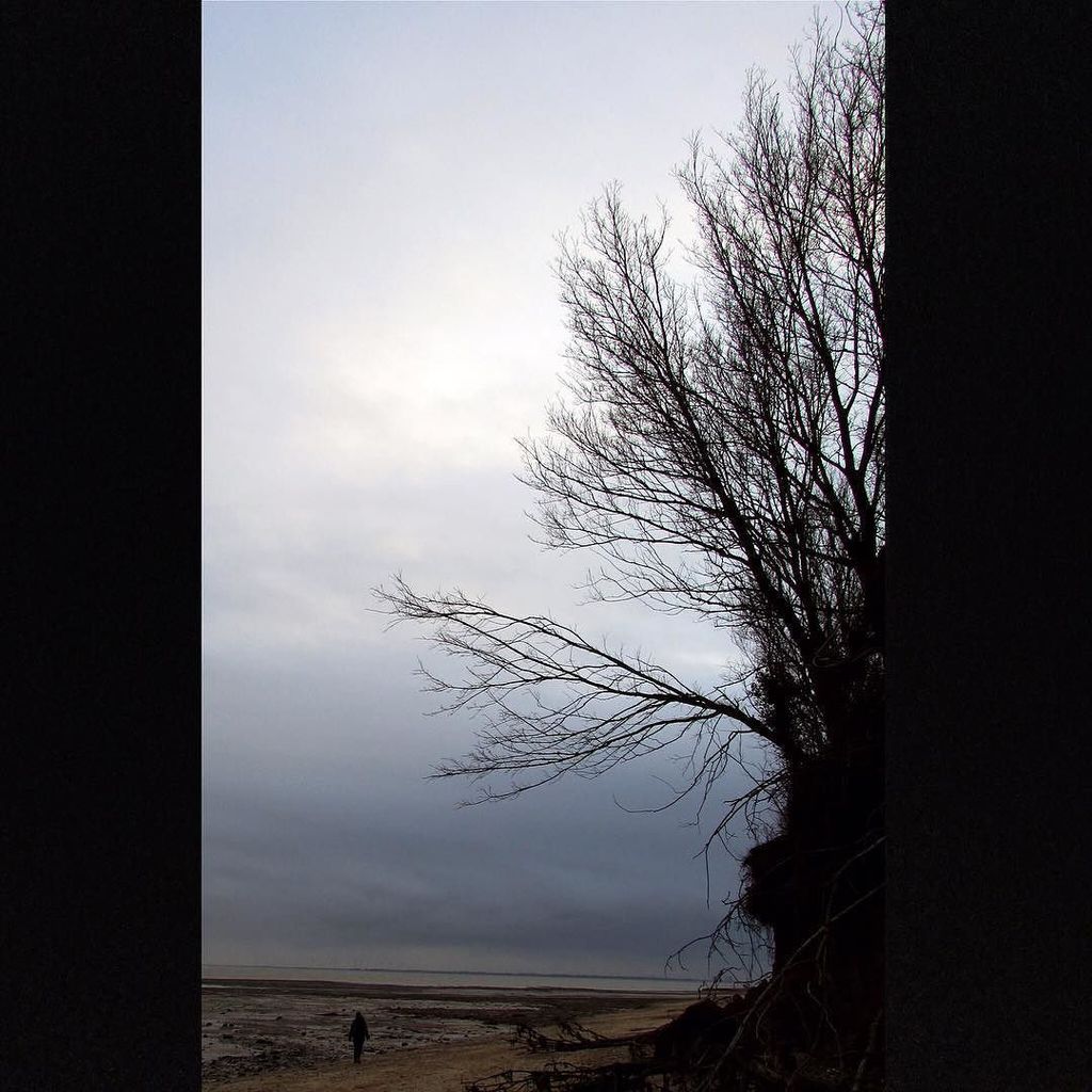 ingleben's tweet photo. Another Mersea Island walk, overcast weather adding a sense of drama https://t.co/B4oVLAzx5M https://t.co/8ScjzgFqwD