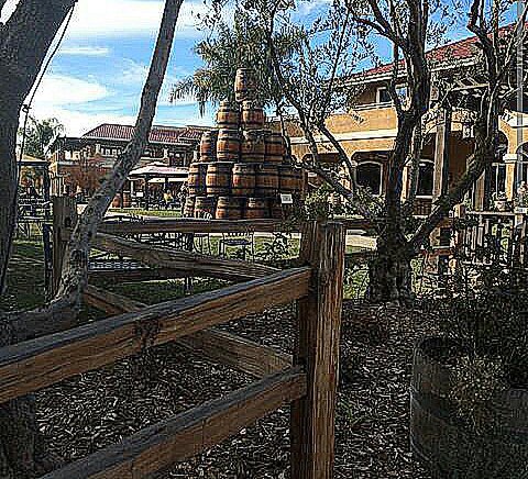 coronalimosedan's tweet image. #PicsArt
bnc.lt/f1Fc/etZAWqE4pp #temecula #winetour#winetasting #limo #transportation #service