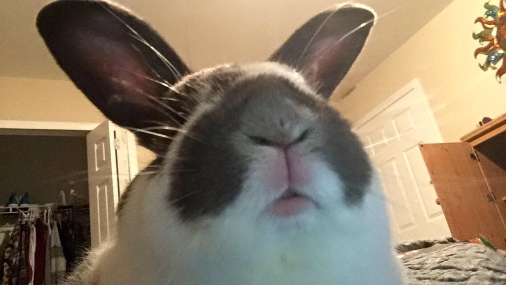 briannashuffle1's tweet photo. Selfie :) https://t.co/DTVeMd4cc4