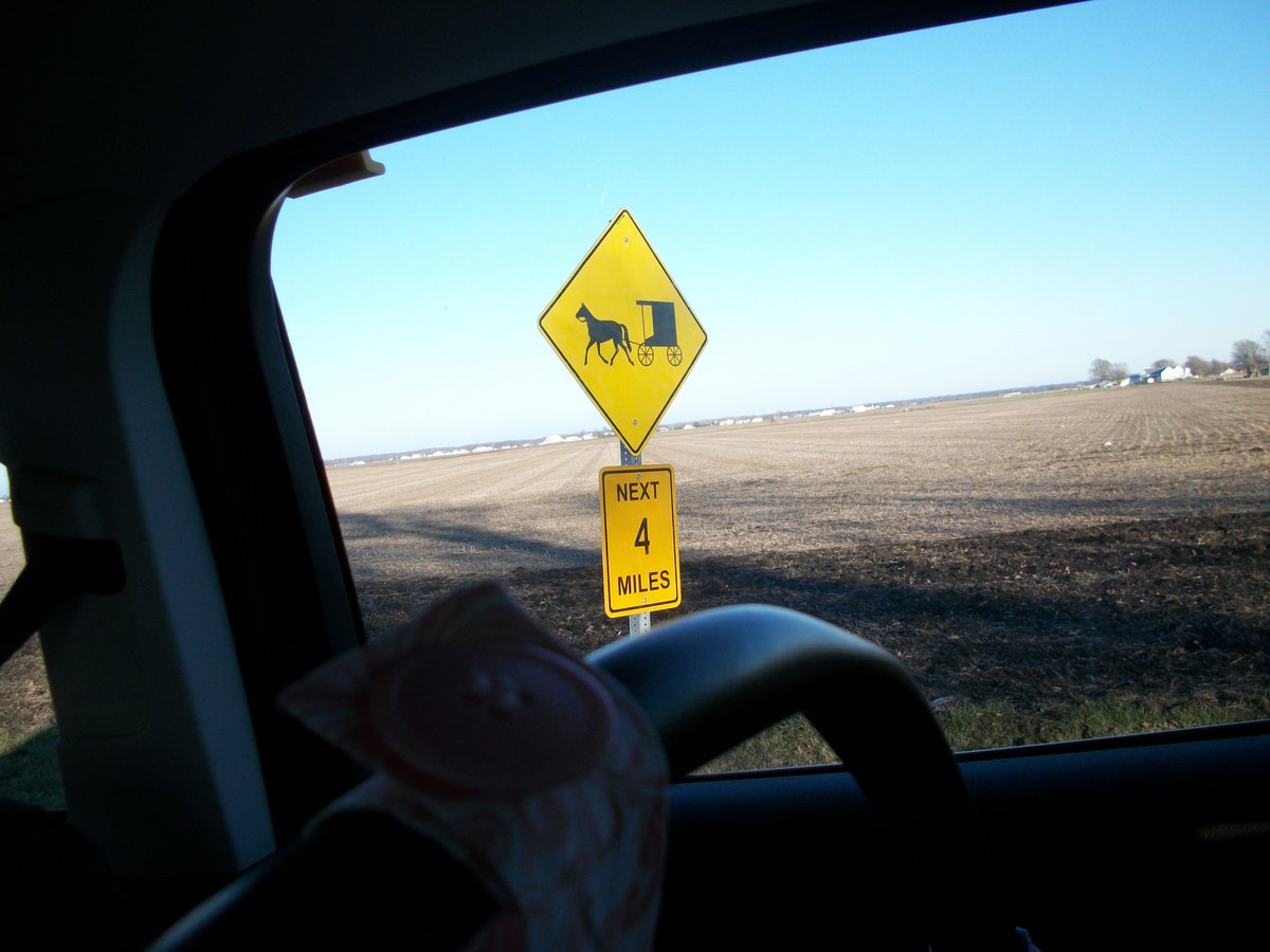 We hadden vandaag rekening te houden met weggebruikers die we gewoonlijk niet zien.