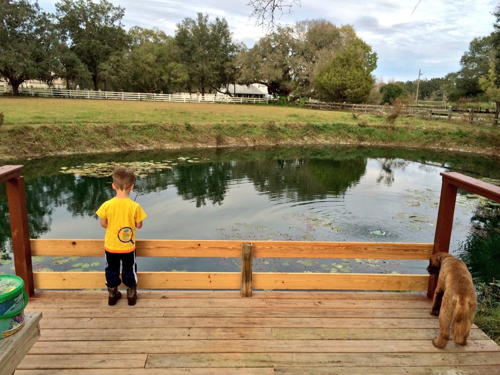 Love Fishing Backyard Son Pond Fishing Backyard Florida Bluegill