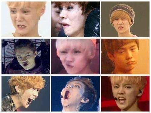 2nd_dreamZ's tweet photo. Good morning xiuhan shippers~have a great sunday
Treat you all with xiuhan derpy face😂😂
#xiuhan #lumin https://t.co/zKXa6AKu8z