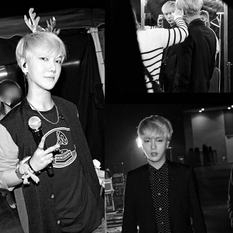 shfly3424 tweet picture