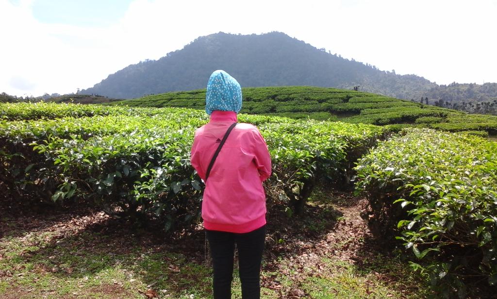 mega4841's tweet image. Gunung salakk