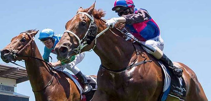 ozrace's tweet image. A Hard Fought Hat Trick #VegaMagic #AscotHappens @ozrace 
ozrace.com.au/a-hard-fought-…