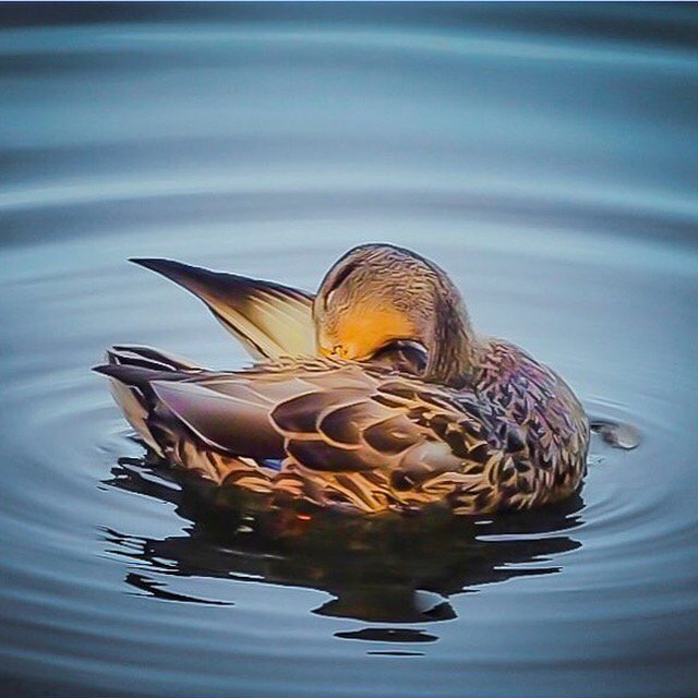 SimonShinerock's tweet image. However good you are, try not to get too into yourself
#simonshinerock #blog #buildtheteam