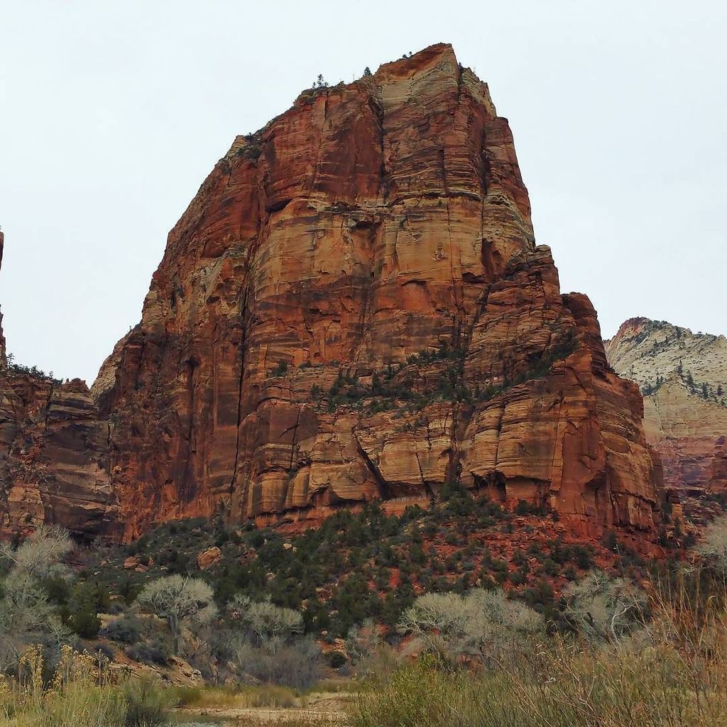 adamhkell's tweet photo. #angelslanding #zion #climbedit https://t.co/t0pqDrfToc https://t.co/phLbHDVOLe