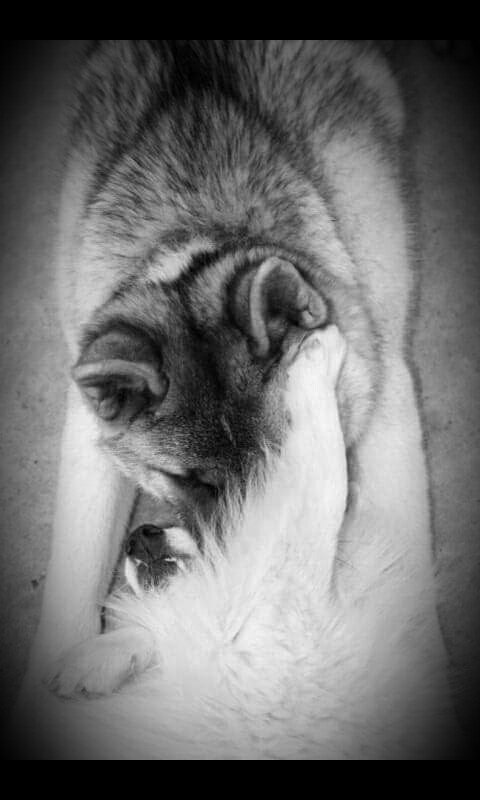 CassFanara's tweet photo. The #ConnectedCollection
#Grayscale #Photography #Connected
#Art + #Aesthetic #Love https://t.co/D2veRQYLbY
