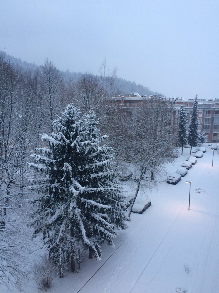 Tamara Pevec tweet media