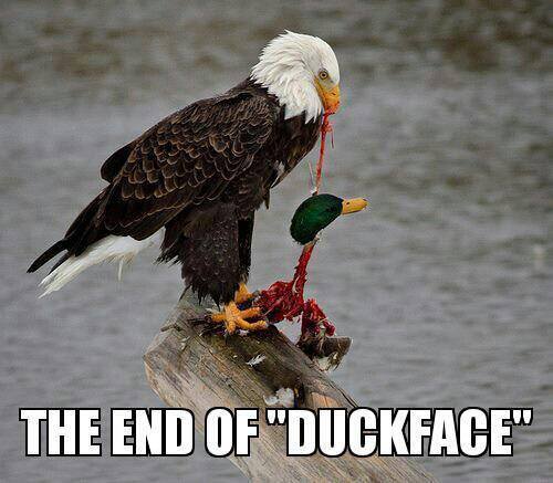 NoXiouS's tweet photo. @theCHIVE @ChiveNation @TheChivettes_ @ReapersPlace @Flapjack92 @cabooseboy @rogerrhodes Time to #EndDuckFace 4ever https://t.co/RCOs80bD0o