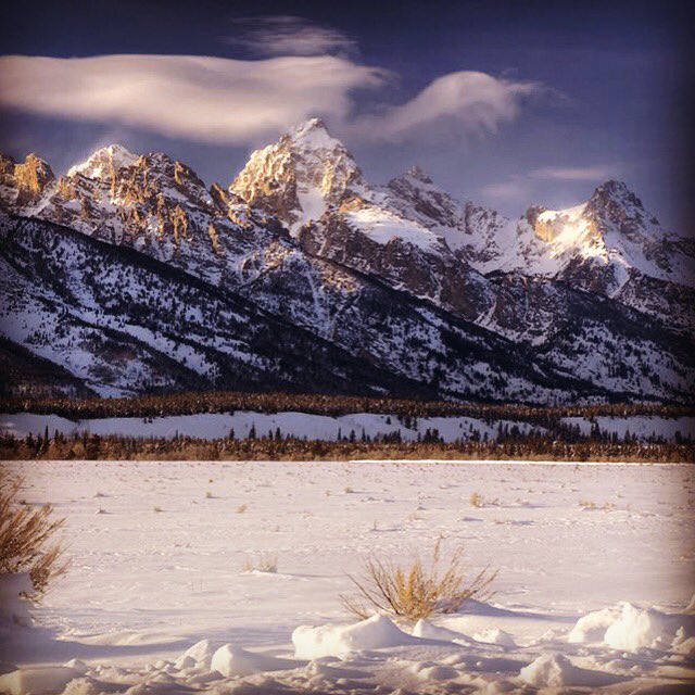 JHMtnGuides's tweet photo. Happy New Year!  Cheers to many days of adventure ahead #myjhmgstory #2016 #getoutside https://t.co/gdneHBAe2W