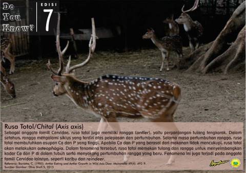 HIMABIO NYMPHAEA (@nymphaea_itb) on Twitter photo 