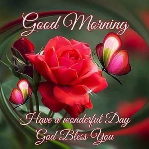 Jyoti Punjabi Ef On Twitter Himanshumehta23 Happy Sunday Https