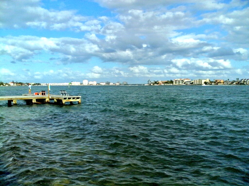 GlobalDoves's tweet image. Dream Big!