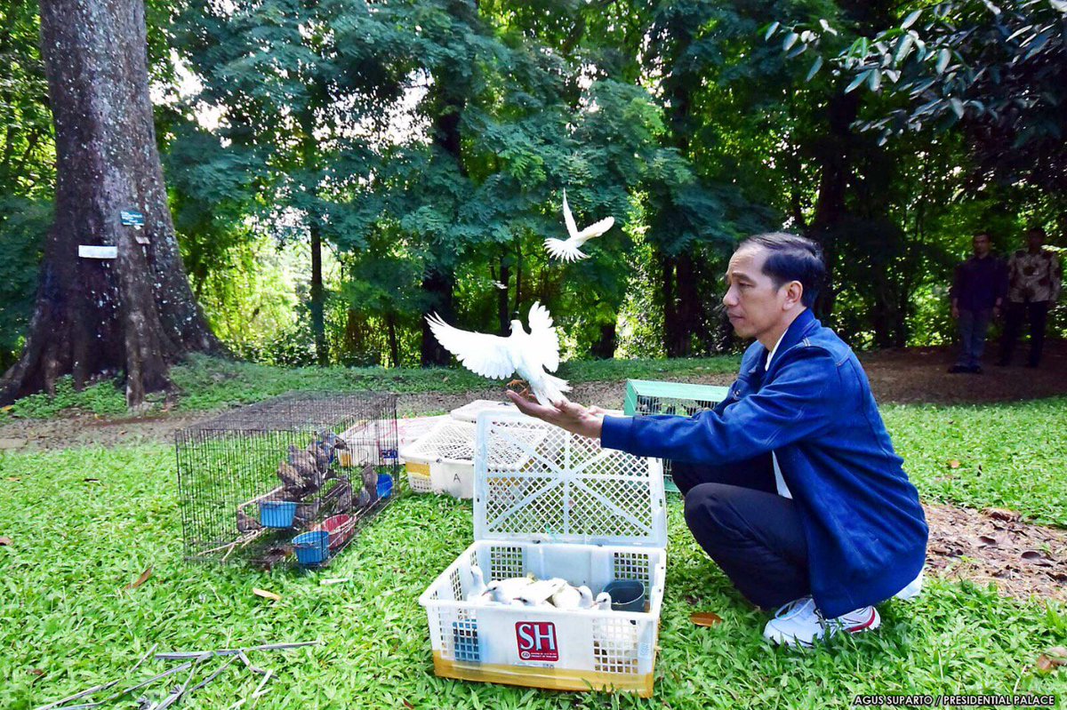Hari ini saya lepas 190 ekor burung di Kebun Raya Bogor. Kita jaga terus ekosistem -Jkw