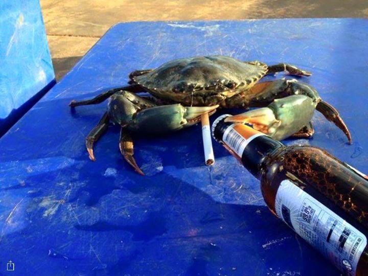 Harvey Grieves on Twitter: Harvey Grieves on Twitter: