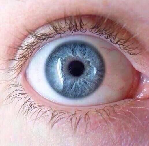 mapplesuga's tweet photo. The pupil of your eye expands up to 45% when you look at someone you love. https://t.co/BwchdYc4W0