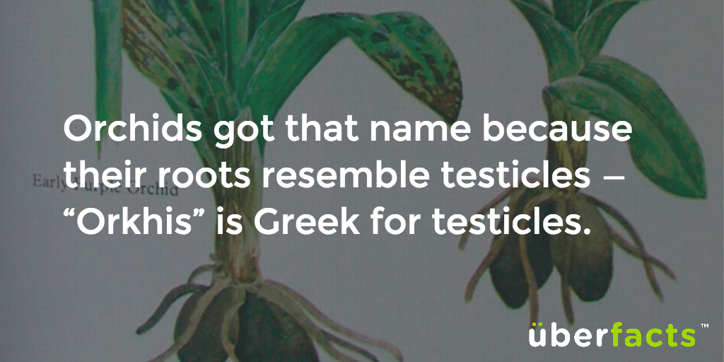 UberFacts's tweet photo. Makes sense. https://t.co/ow9Mh0IhNr