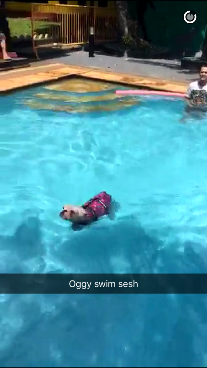 Amadea Zy On Twitter Katadochi Oggy Lagi Berenang Lucu Sukak