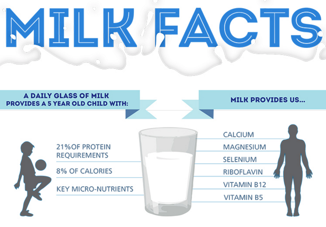 Milk and dairy products in human nutrition english edition