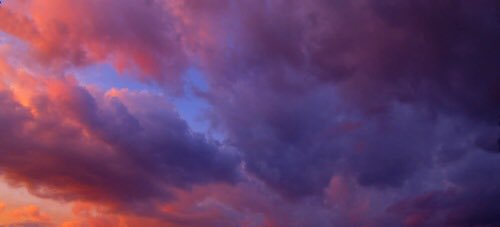 colorsof5sos's tweet image. michael // purple