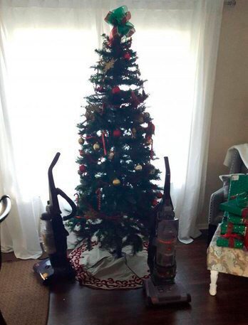 drunktwi's tweet image. Как защитить ёлку от пушистого говнюка