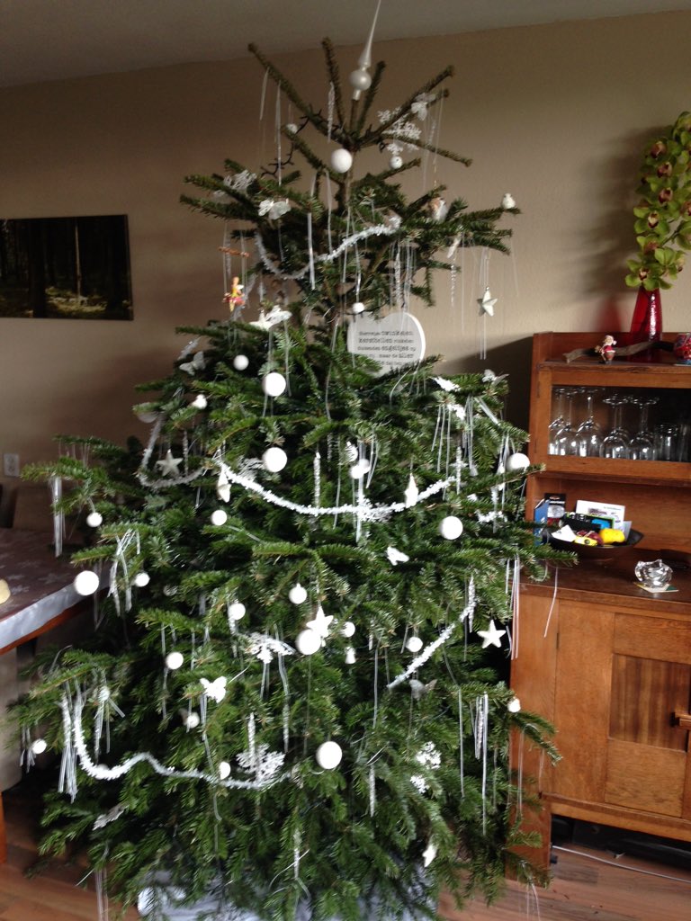 Hans_Struik's tweet photo. Kerstboom eruit en mooie groene plant erin https://t.co/baBSiiIDh5