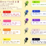 バラはカラーで花言葉が違うらしい!プレゼントする時に覚えておくとかっこいいかも!