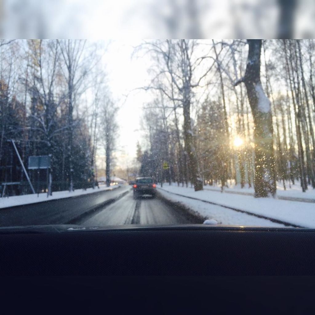 Павловский парк on Twitter: "#павловск #зима #снег #деревьявснегу # ...