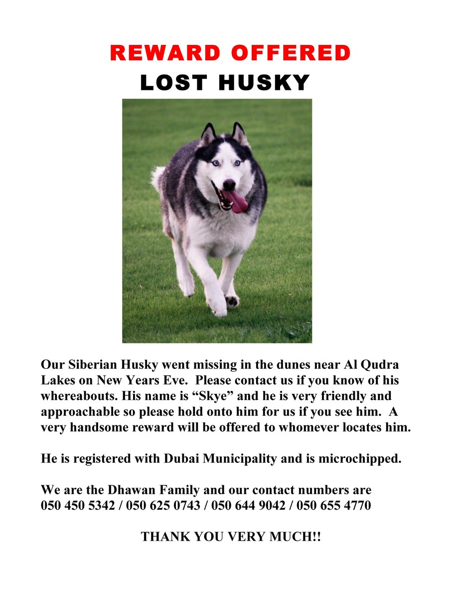 dxbmaven's tweet photo. This beloved pet went missing at #AlQudra Lake on #NYE. Please share to help find Skye. @jamesEd_me @Catboy92 #Dubai https://t.co/dPL0CDHnhT