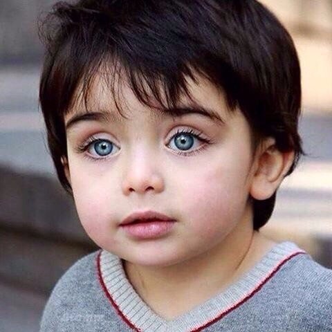 Q8SaasQ8 tweet picture