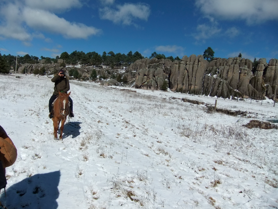 naturalist4you's tweet photo. #highlight2015 #December #roadtrip San Ignacio de Arareco, Creel #Chihuahua #Mexico https://t.co/AvXTv33tZI https://t.co/rOHZjUG2W6