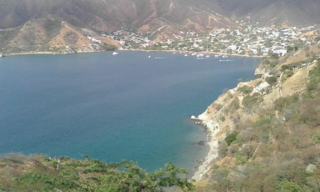 mischell16's tweet image. 