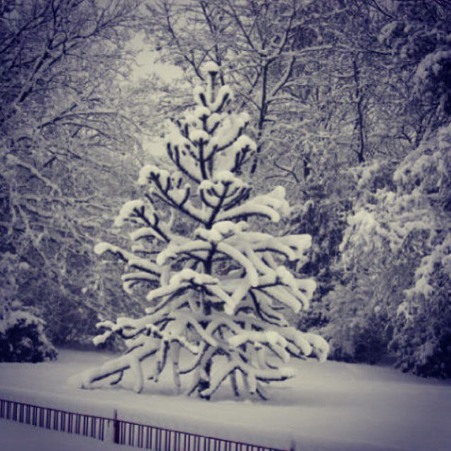MissPinks's tweet photo. @sarah_horton1 @edmathison As promised. Filthy day here so here's one from my winter 2012 archive. #monkeymap https://t.co/NRmz01AQYS