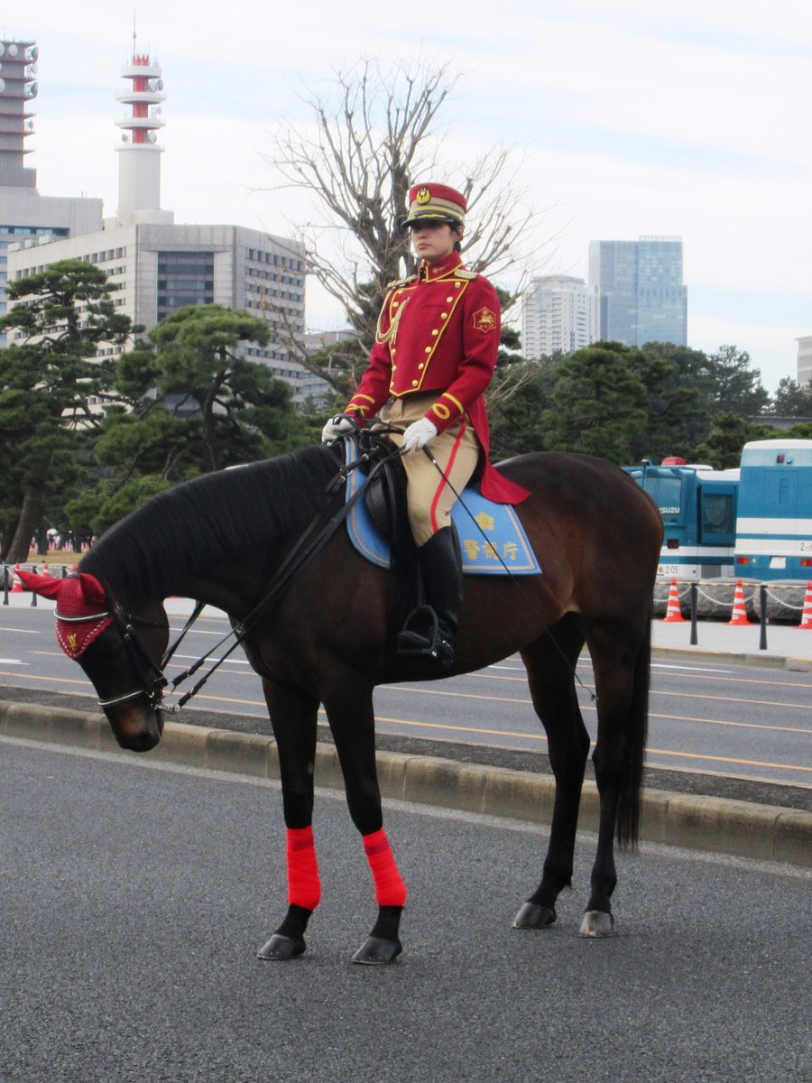 ぴおにる Pioneer Kazoo 皇宮警察騎馬隊と報じましたが 写真を見直したところ警視庁騎馬隊でしたので訂正します T Co A5vcosmynm