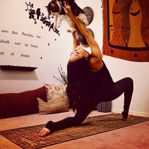 Yoga #yogaquote #yogachallenge #YogaSOMADaily #yogainspiration