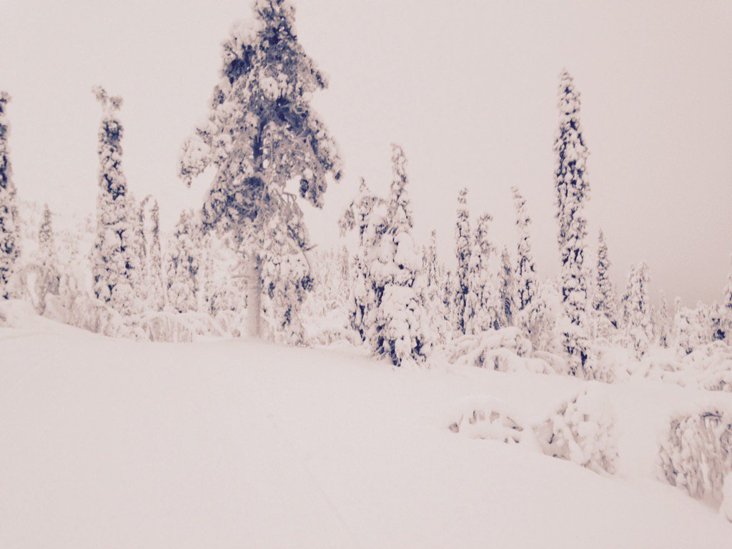 Koska muutkin mehustelee, niin kyllä mäkin sitten. Ei mutta on tää vaan niin hienoa!
