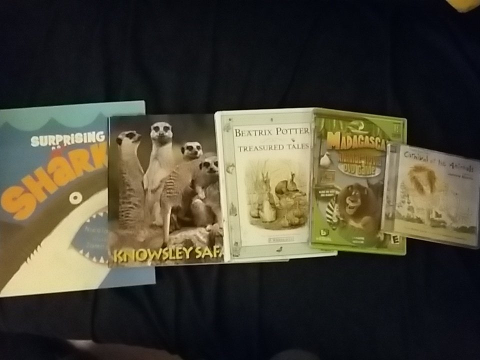 MrKidd101's tweet photo. Looking forward to the next term of animals! All set for a good half term! #animals #year1 #backtoschool https://t.co/MjtLv3Q859