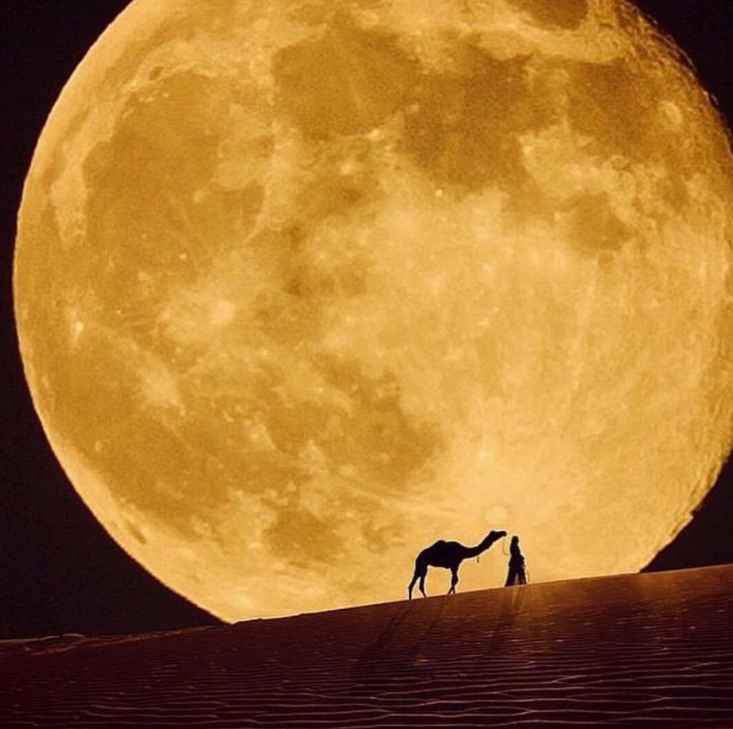 (وسخَّر لكم ما في السّماوات وما في الأرض جميعاً منه إنَّ في ذلك لآيات لقوم يتفكّرون) 

#الجاثية