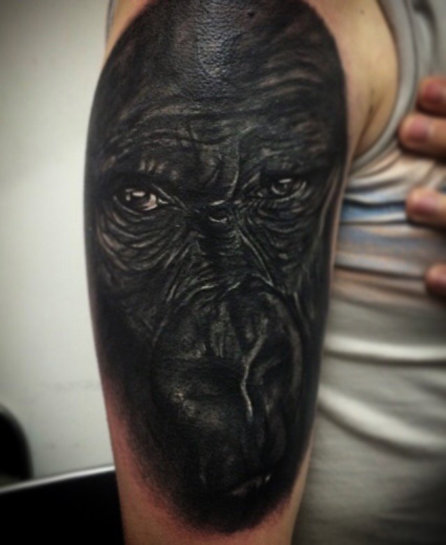 JackPrinceArt's tweet photo. Gorilla cover -up using #silverbackinks https://t.co/BOKoIb3n7p