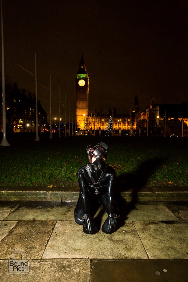 TheKuroPup's tweet photo. Promoting puppy rights in front of Big Ben - Thanks @PuppyPrideUK and https://t.co/ZDxryXpYPS for making it happen! https://t.co/TTUpdoUvY9