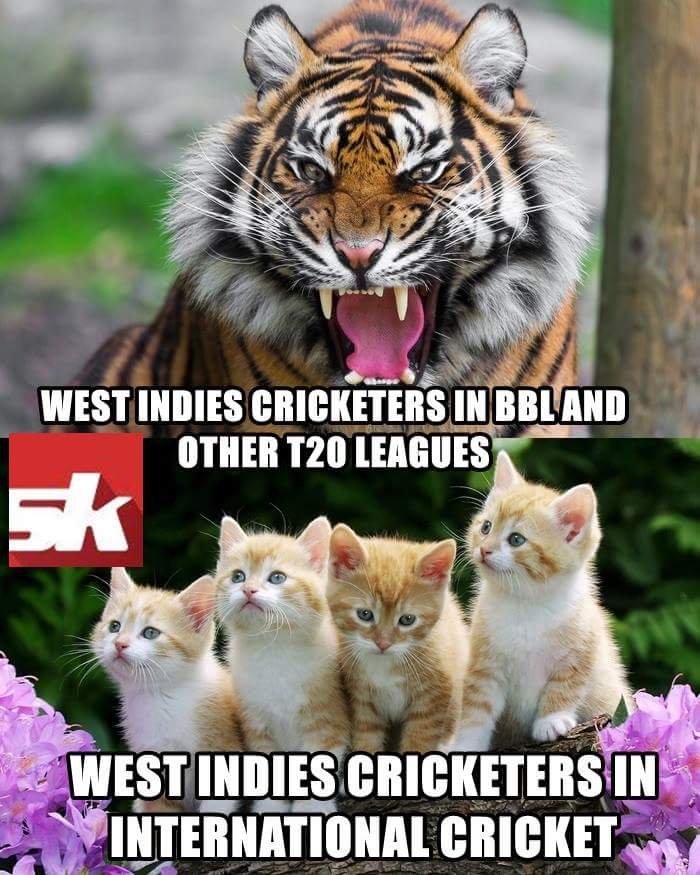 [Image: CXzbSbUUkAAZ2XN.jpg:large]