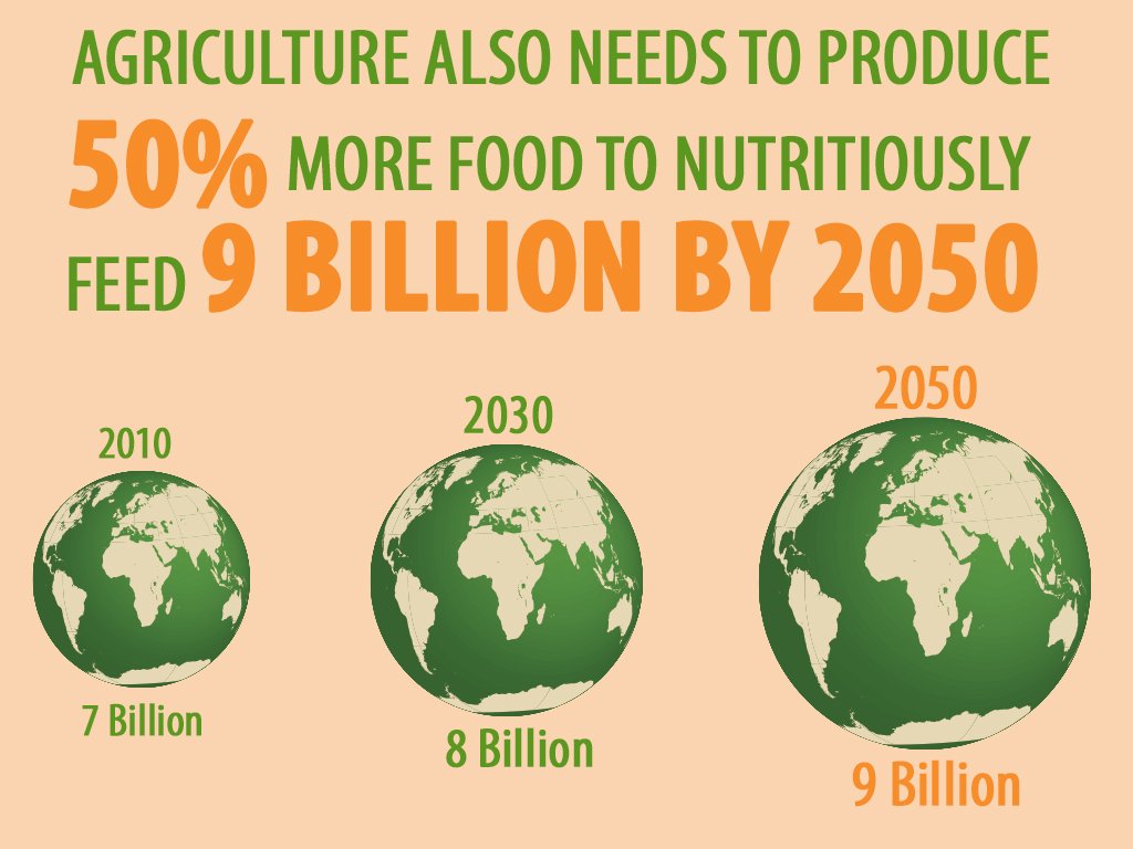 In 2050 What Food Will You Be Eating Food Scarcity Maya in-2050-what-food-will-you-be-eating-food-scarcity-maya