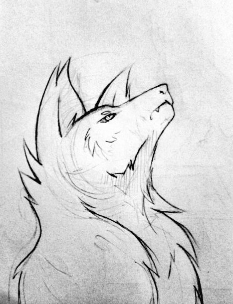 SarukatArt2's tweet photo. Inspired in @Grypwolf
#drawingwolf #learnig https://t.co/ekD3YpdepO