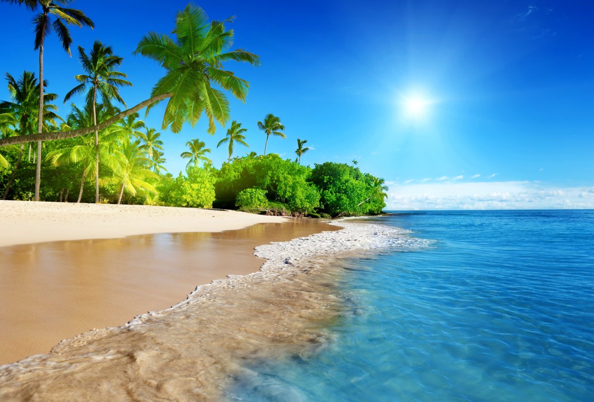 dineshkrsingh's tweet image. hello this is testing msg