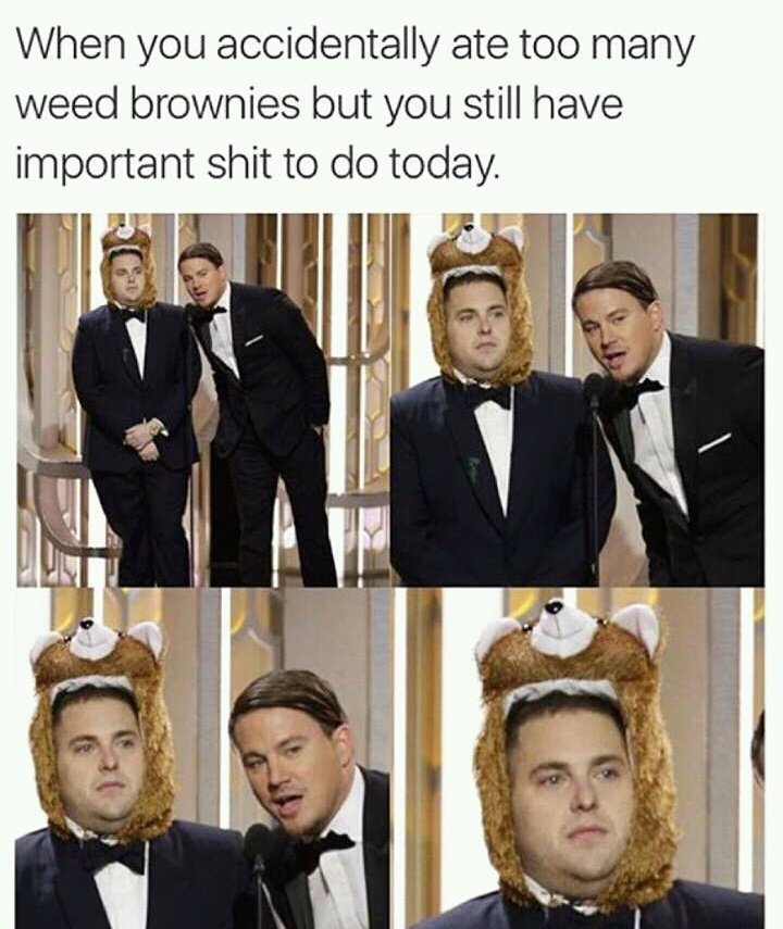 settingsutra's tweet image. Follow @jaihobabaki
#UKSmallbiz #DemDebate #GBvsAZ #Steelers #SEAvsCAR #PITvsDEN #LIVMUN #Jason3 #Seahawks #MUFC